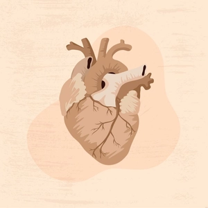 Antique Medical Illustration