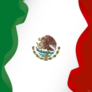 White Mexican Flag Vector