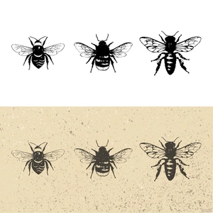 Vintage Bee Vector