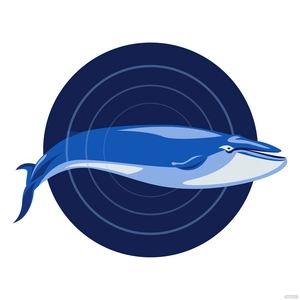 Whale Fish Vector