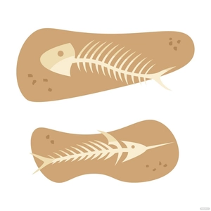 Fish Skeleton Vector