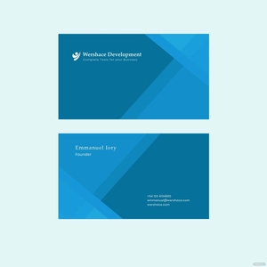 Professional Business Card Vector