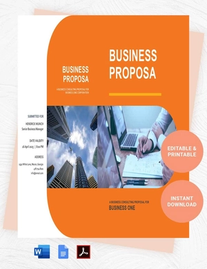 Consulting Business Proposal Template Consulting Business Proposal Template