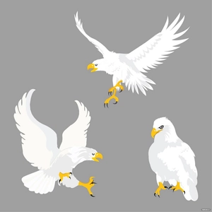 White Eagle Vector