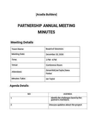 Partnership Annual Meeting Minutes Template