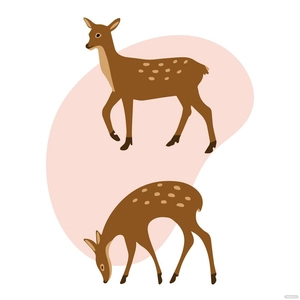 Doe Deer Vector