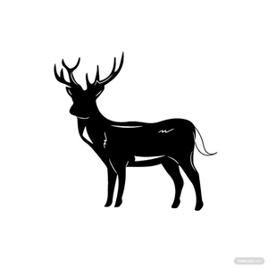 Whitetail Deer Vector