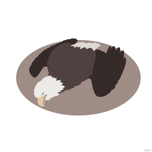 Dead Eagle Vector