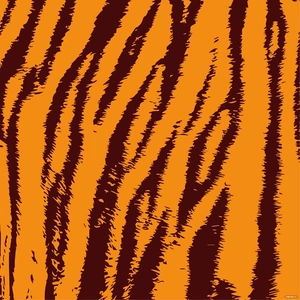 Tiger Skin Vector