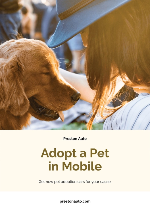 Adopt Pets Car Magnet
