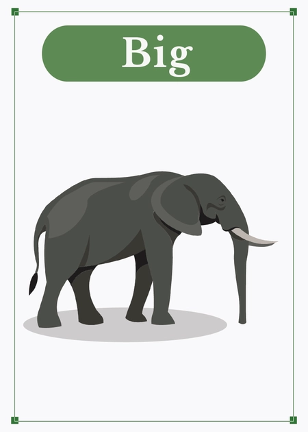 Vocabulary Flashcard