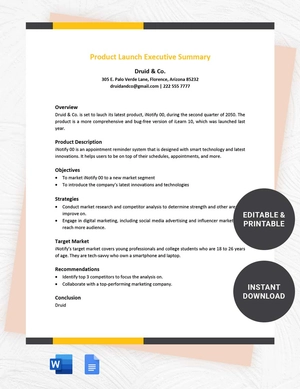 Product Launch Executive Summary Template