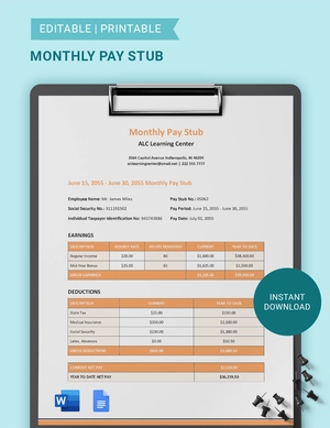 Monthly Pay Stub Template