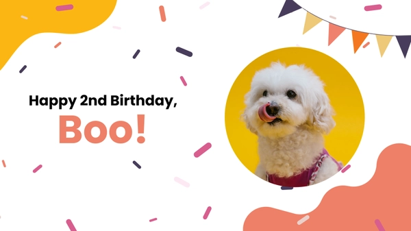 Free Pets Birthday Video Template to Edit Online