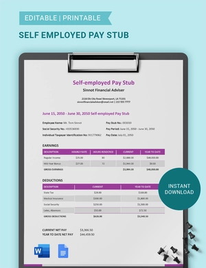 Self Employed Pay Stub Template