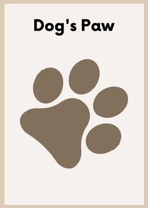 Veterinary Flashcards