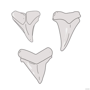 Shark Teeth Vector