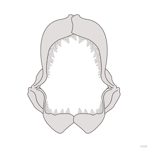 Shark Jaws Vector