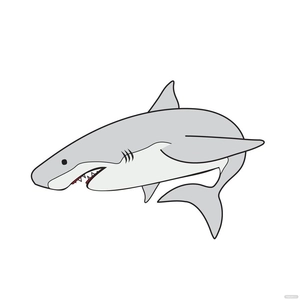 White Shark Vector