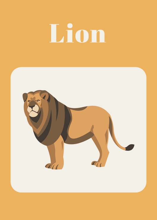 Wild Animals Flashcards