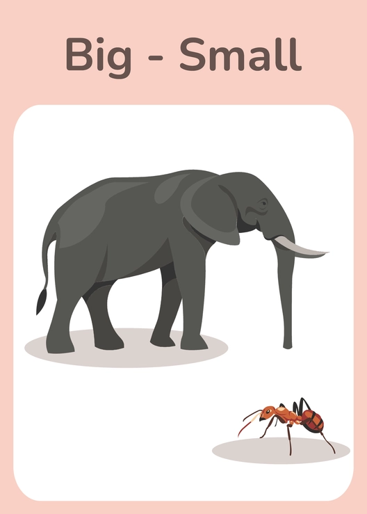 Opposites Flashcards