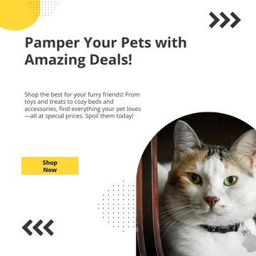 Free Pet Ecommerce Store Facebook Post Template to Edit Online