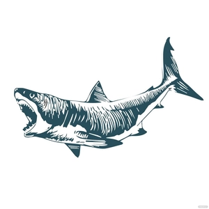Vintage Shark Vector