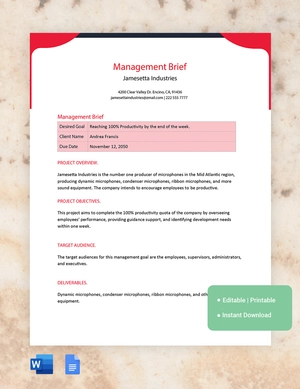Management Brief Template