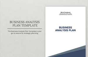 Business Analysis Plan Template