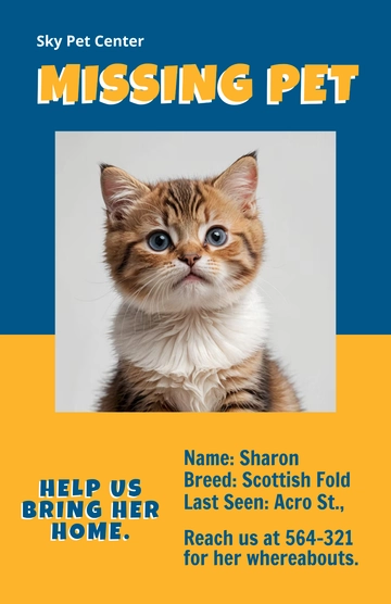 Free Missing Pet Poster Template to Edit Online