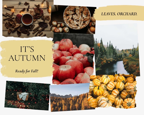 Fall Mood Board Template