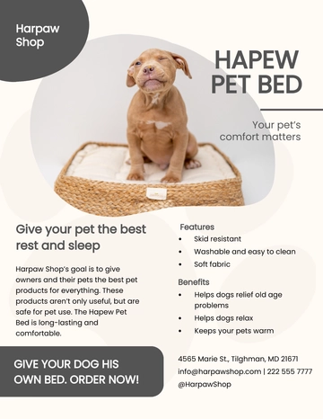 Free Marketing Product Sell Sheet Template to Edit Online