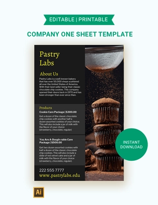 Company One Sheet Template