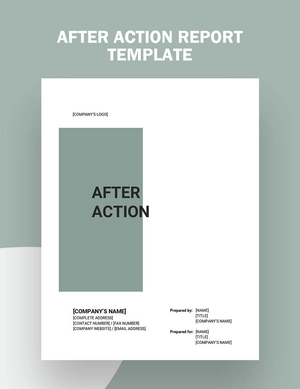 After Action Report Template