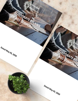 Rhode Island Corporate Bylaws Template