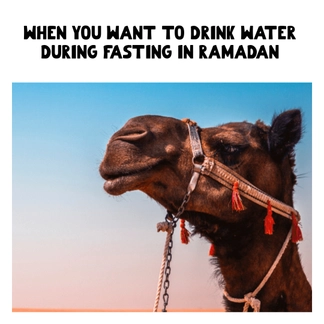Free Funny Ramadan Meme Template to Edit Online