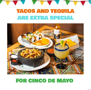 Cinco De Mayo Meme
