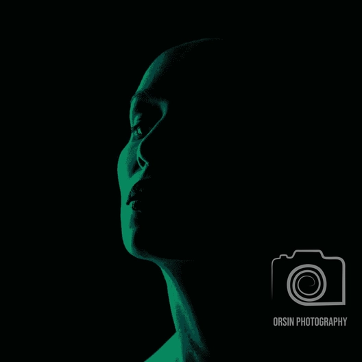 Free Picture Watermark Template to Edit Online