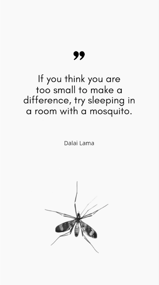 Dalai Lama - If you think you are too small to make a difference, try sleeping in a room with a mosquito.