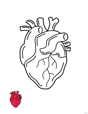 Real Heart Outline Coloring Page
