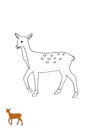 Free Doe Deer Coloring Page Template to Edit Online