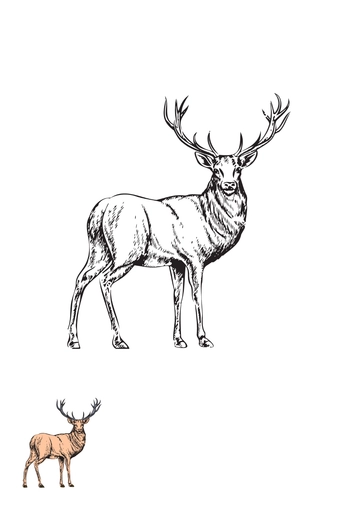 Free Vintage Deer Coloring Page Template to Edit Online