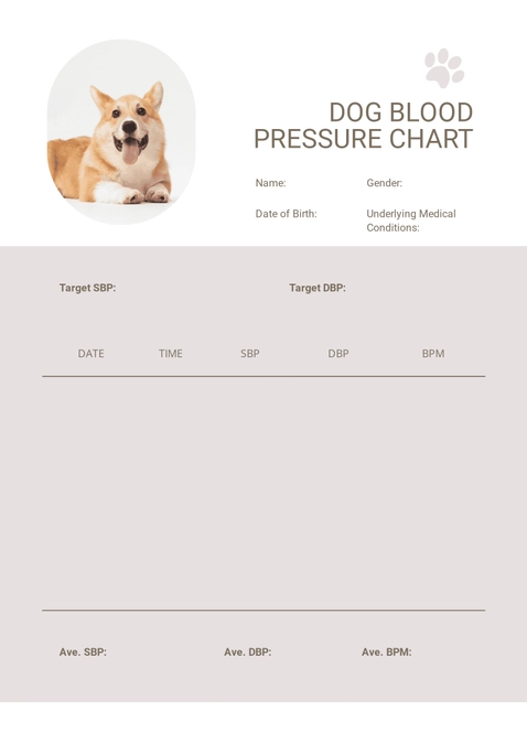 Dog Blood Pressure Chart