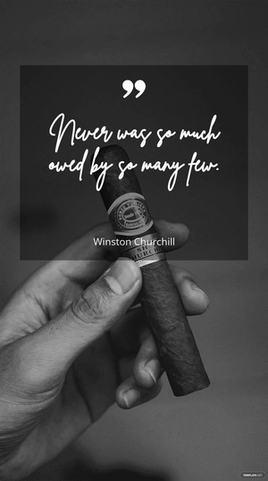 Winston Churchill - Never was so much owed by so many few.