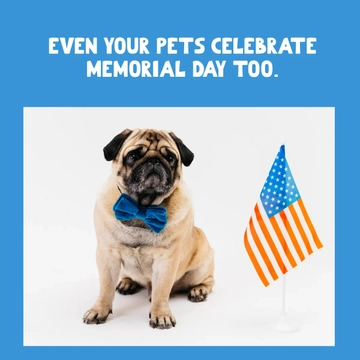 Free Memorial Day Animal Meme Template to Edit Online