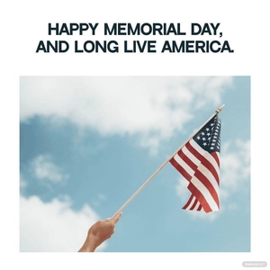 Free Memorial Day Flag Meme Template to Edit Online