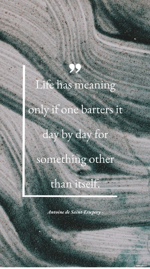 Antoine de Saint-Exupery - Life has meaning only if one barters it day by day for something other than itself.