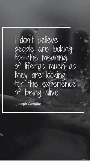 Joseph Campbell: Seeking Life's Experience, Not Meaning Quote