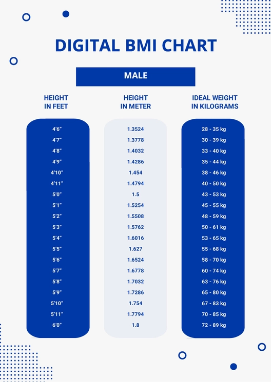 Digital BMI Chart Template