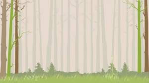 Anime Forest Background